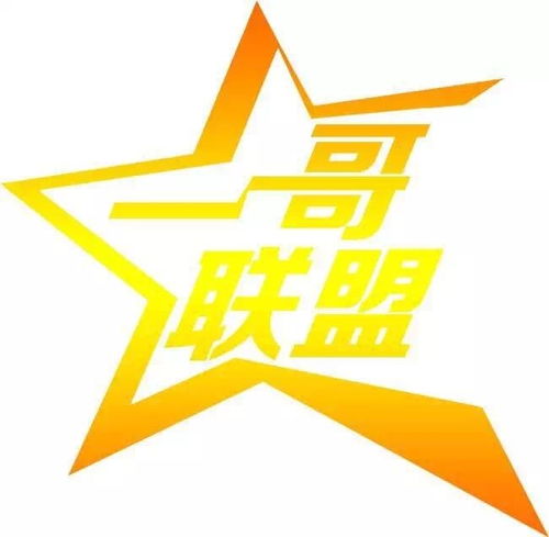 廣東一哥聯(lián)盟投資管理 專(zhuān)業(yè)投資咨詢服務(wù)解析